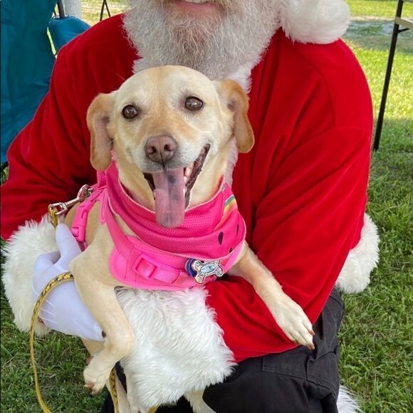 Bundle any 2 items and save 50% off!! - Picture 9 of 9